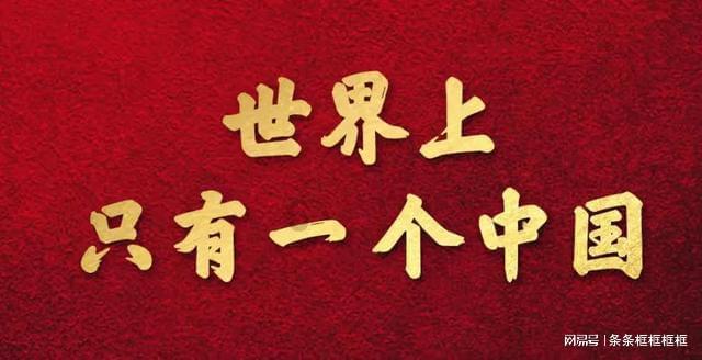 动物狂欢夜